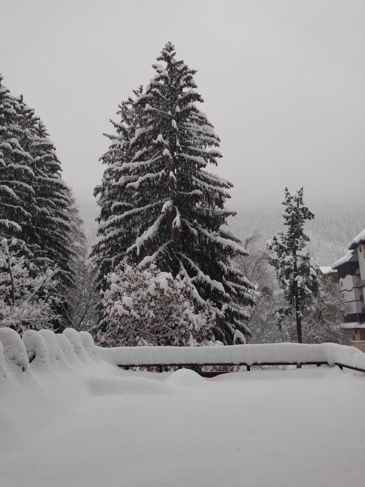 Mont Blanc View Chamonix Apartment Bagian luar foto