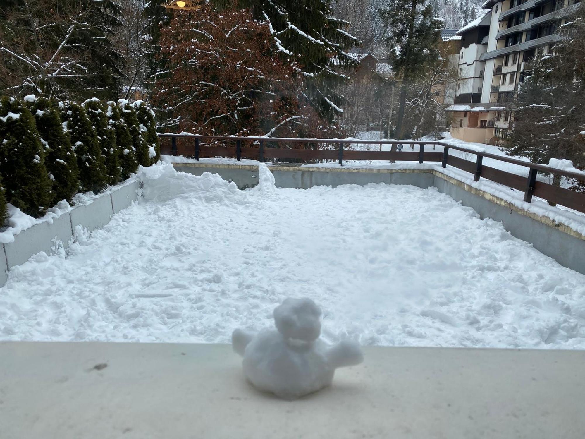 Mont Blanc View Chamonix Apartment Bagian luar foto